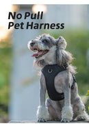 Peitoral Personalizado para Cães — Ajustável, Antipuxão, Refletivo e Almofadado para Passeios ao Ar Livre (Porte Pequeno, Médio e Grande)