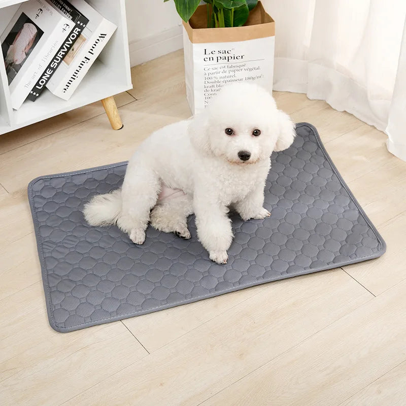 Tapete Absorvente Reutilizável para Pets — Fralda Lavável para Treinamento de Filhotes, Capa de Assento de Carro, Cama ou Tapete Higiênico