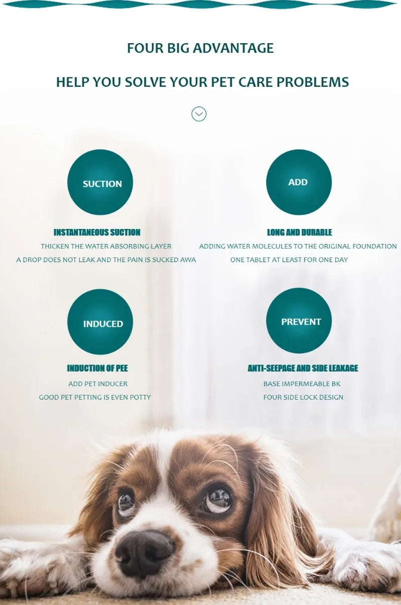 Tapete Absorvente Reutilizável para Pets — Fralda Lavável para Treinamento de Filhotes, Capa de Assento de Carro, Cama ou Tapete Higiênico