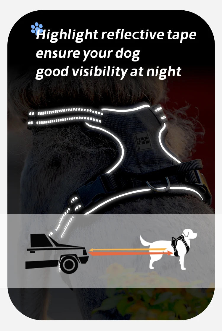 Peitoral Personalizado para Cães — Ajustável, Antipuxão, Refletivo e Almofadado para Passeios ao Ar Livre (Porte Pequeno, Médio e Grande)