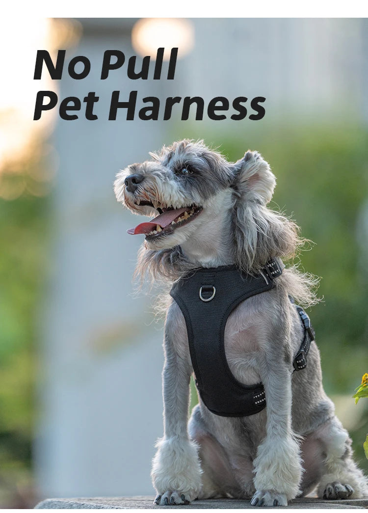 Peitoral Personalizado para Cães — Ajustável, Antipuxão, Refletivo e Almofadado para Passeios ao Ar Livre (Porte Pequeno, Médio e Grande)