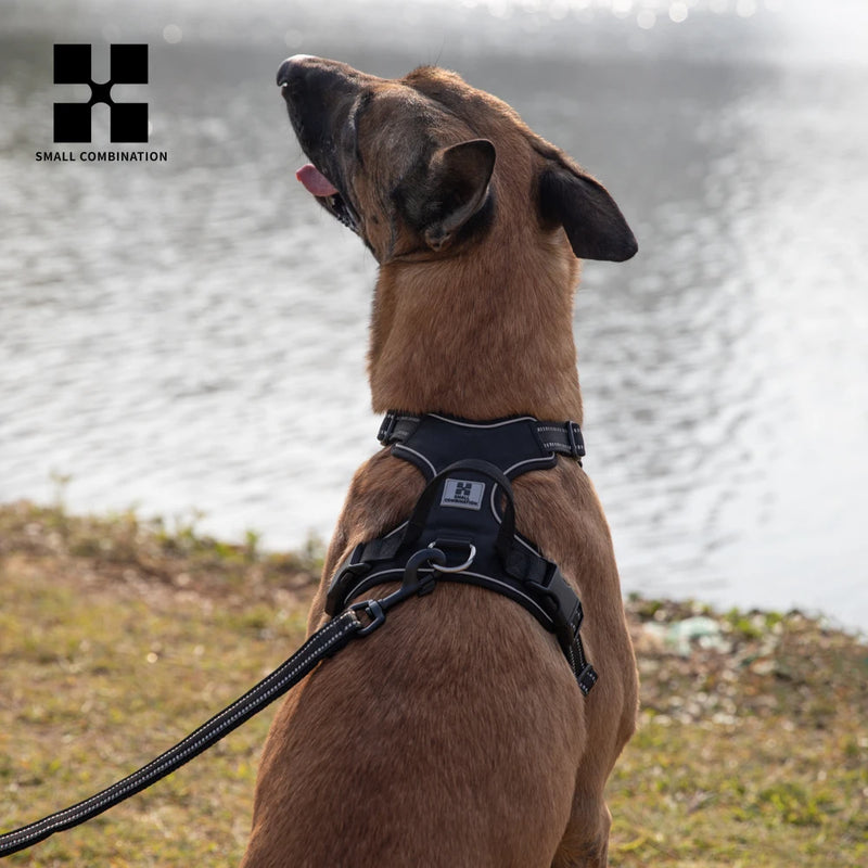 Peitoral Personalizado para Cães — Ajustável, Antipuxão, Refletivo e Almofadado para Passeios ao Ar Livre (Porte Pequeno, Médio e Grande)