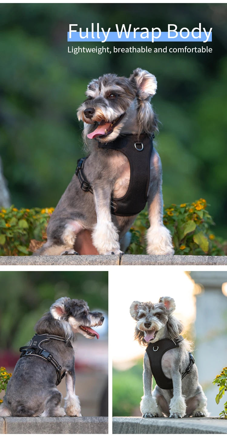 Peitoral Personalizado para Cães — Ajustável, Antipuxão, Refletivo e Almofadado para Passeios ao Ar Livre (Porte Pequeno, Médio e Grande)
