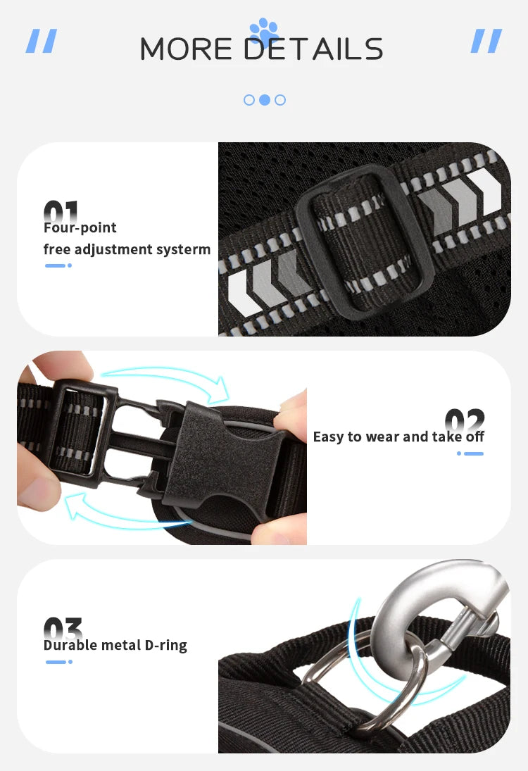 Peitoral Personalizado para Cães — Ajustável, Antipuxão, Refletivo e Almofadado para Passeios ao Ar Livre (Porte Pequeno, Médio e Grande)