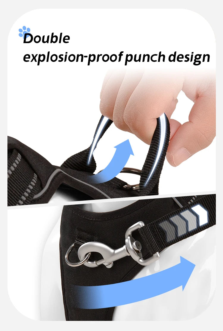 Peitoral Personalizado para Cães — Ajustável, Antipuxão, Refletivo e Almofadado para Passeios ao Ar Livre (Porte Pequeno, Médio e Grande)